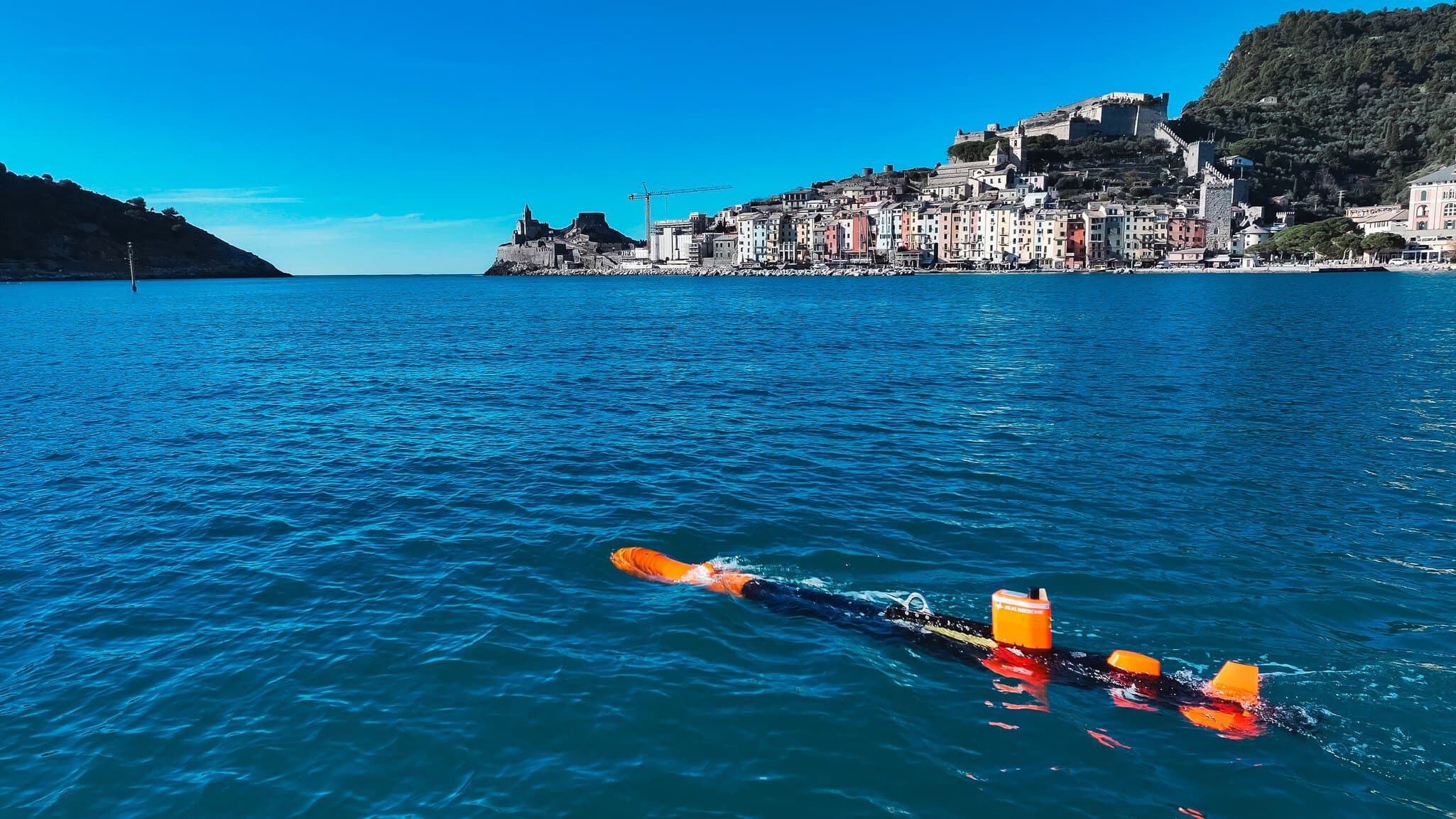 Seagass mapping ISPRA Italy 04.jpg